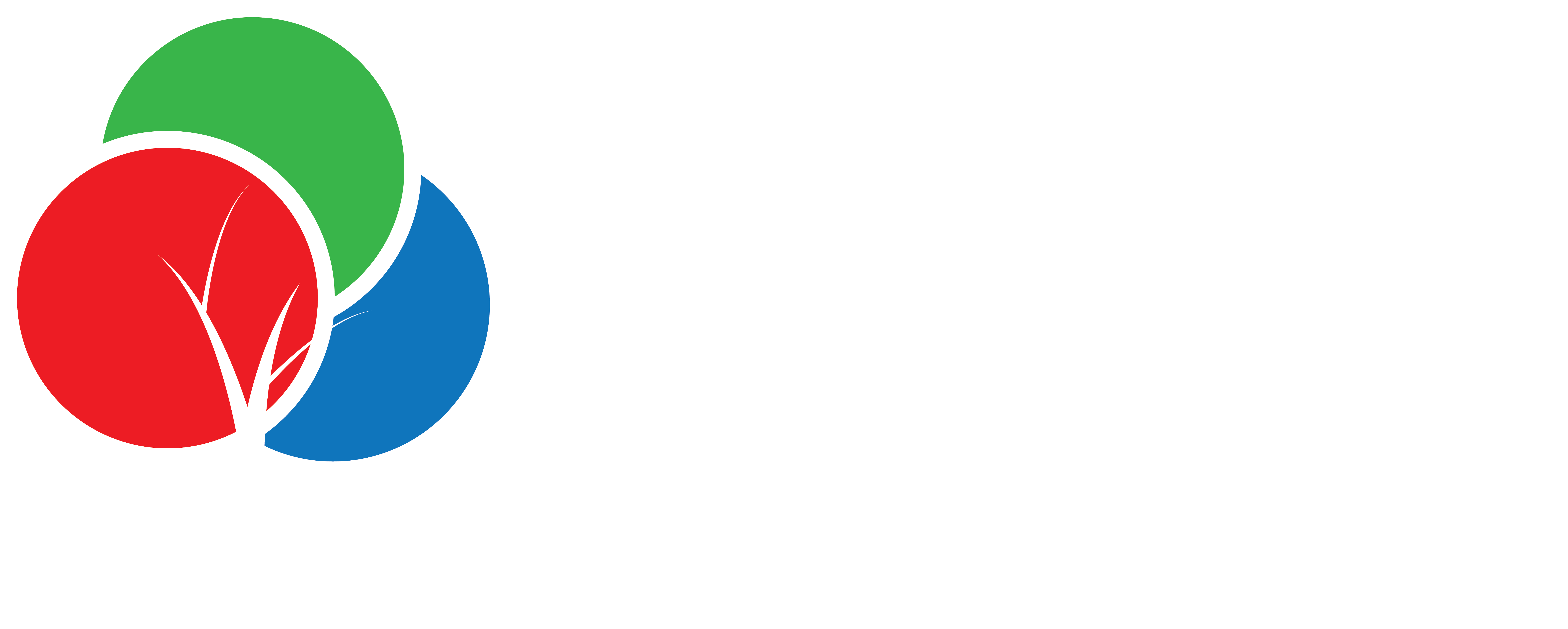 YES NGO Logo